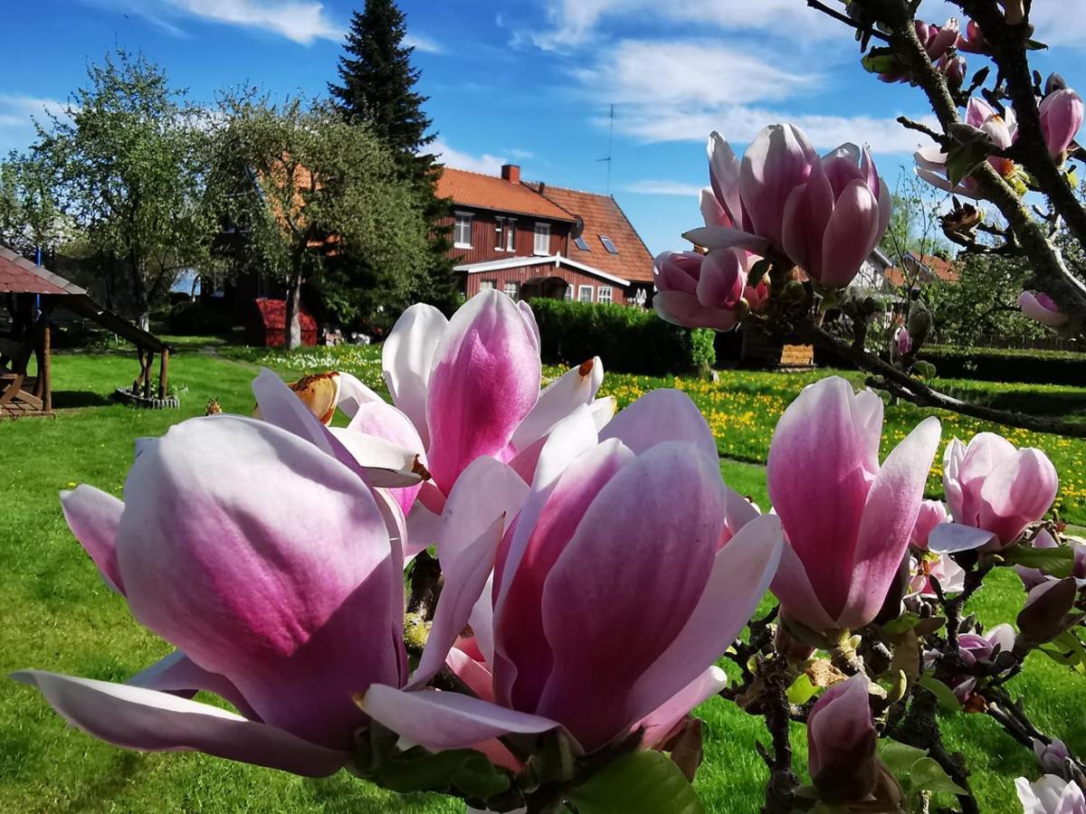Neringarent Apartamentai Juodkrante Luaran gambar